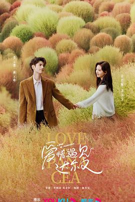 爱情的选择