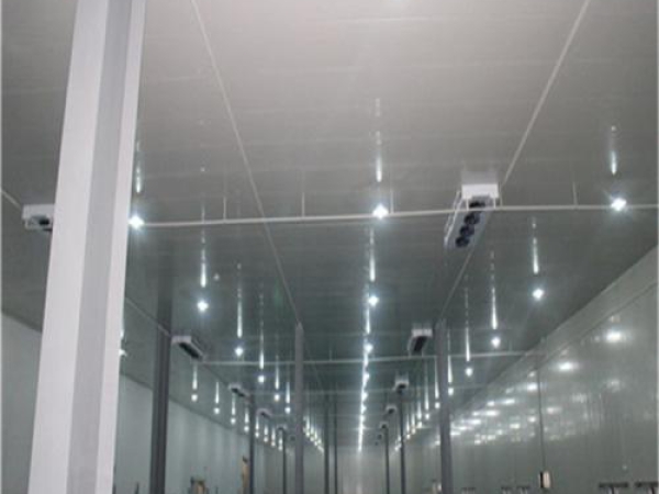 建造安裝食品低溫冷藏庫(kù)有哪些因素影響造價(jià)？